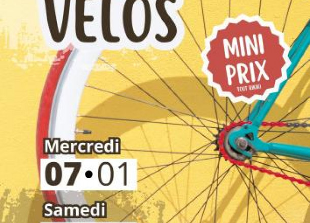 Foire aux vélos