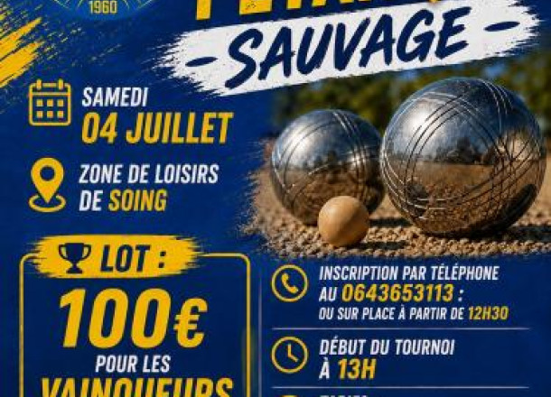 Tournoi de pétanque sauvage